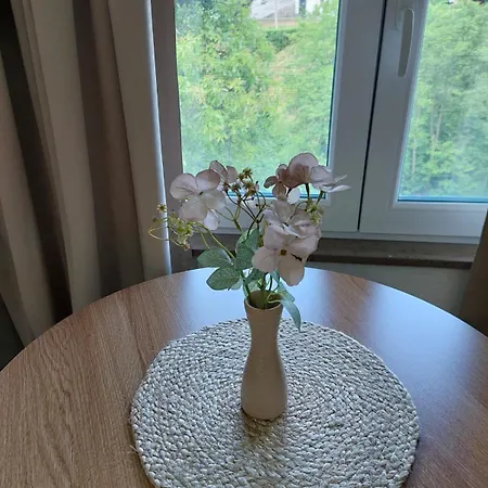 Appartement Studio Ivisovo Greblje